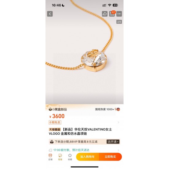 Valentino Jewelry Necklace