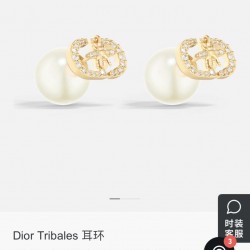 Dior Jewelry Earrings
