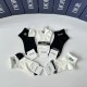 Dior Socks