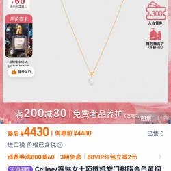 Celine Jewelry Necklace