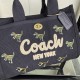 Coach Bags High Quality