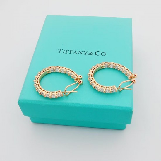 Tiffany Jewelry Earrings
