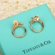 Tiffany Jewelry Earrings