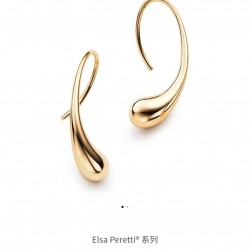 Tiffany Jewelry Earrings