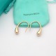 Tiffany Jewelry Earrings