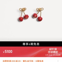 Valentino Jewelry Necklace