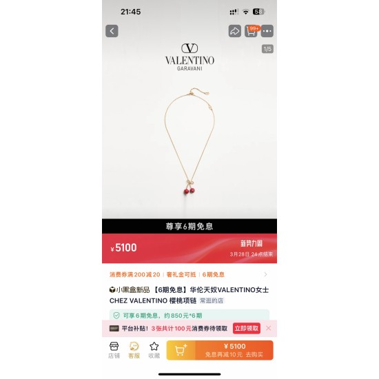 Valentino Jewelry Necklace