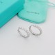 Tiffany Jewelry Earrings
