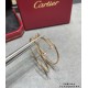 Cartier Jewelry Earrings
