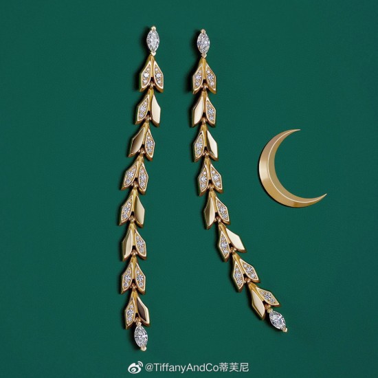 Tiffany Jewelry Earrings